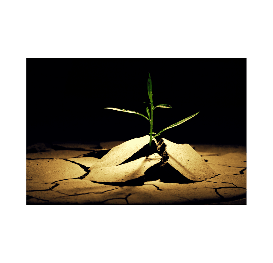 Breaking the Friction: How to Solve Technical Debt and Talent Gaps with a Unified Business OS